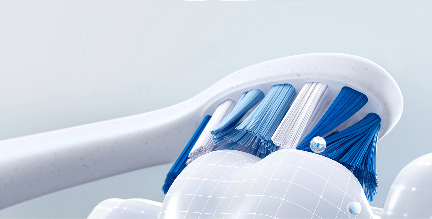 BrushO Replacement Heads