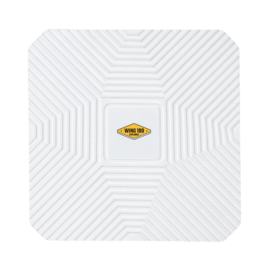 Wing100 detail