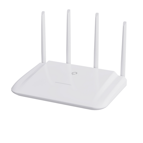 Roam Rainier MAX60