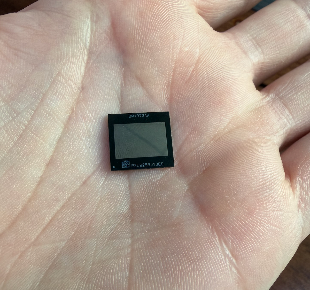 BM1373 ASIC chip in hand