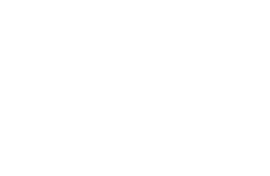 Bitfortun logo